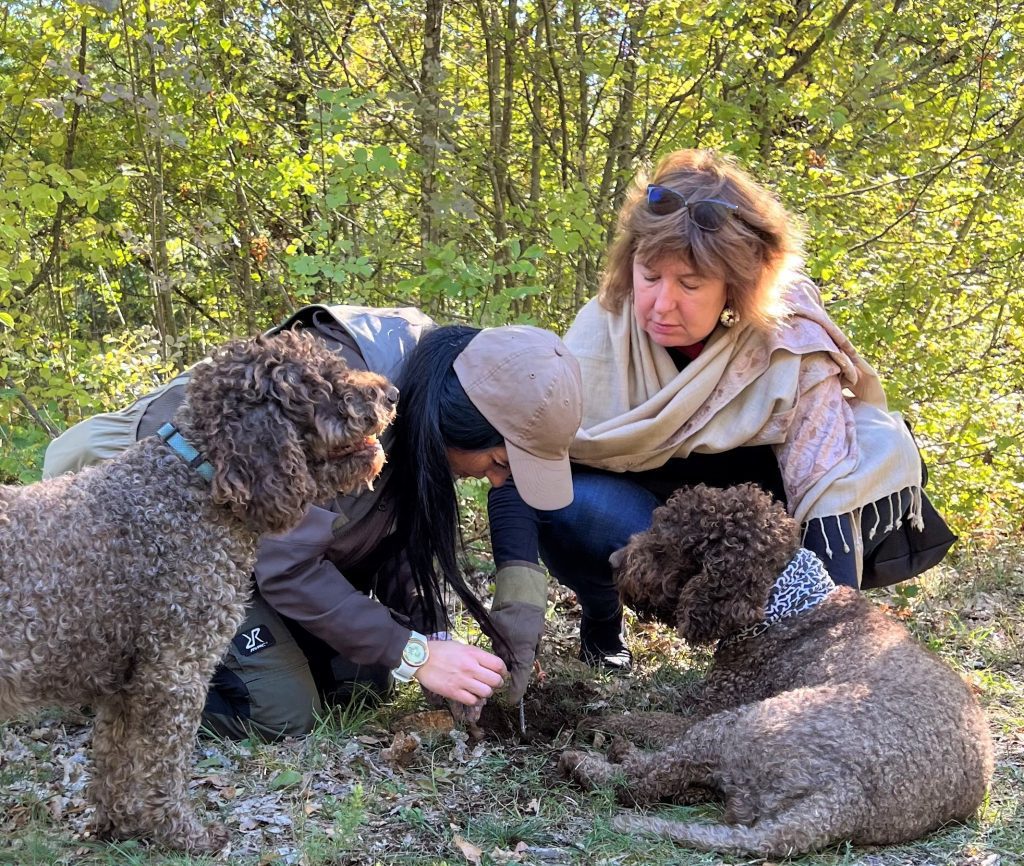 Extraordinary Experiences - Truffle Hunting in Split