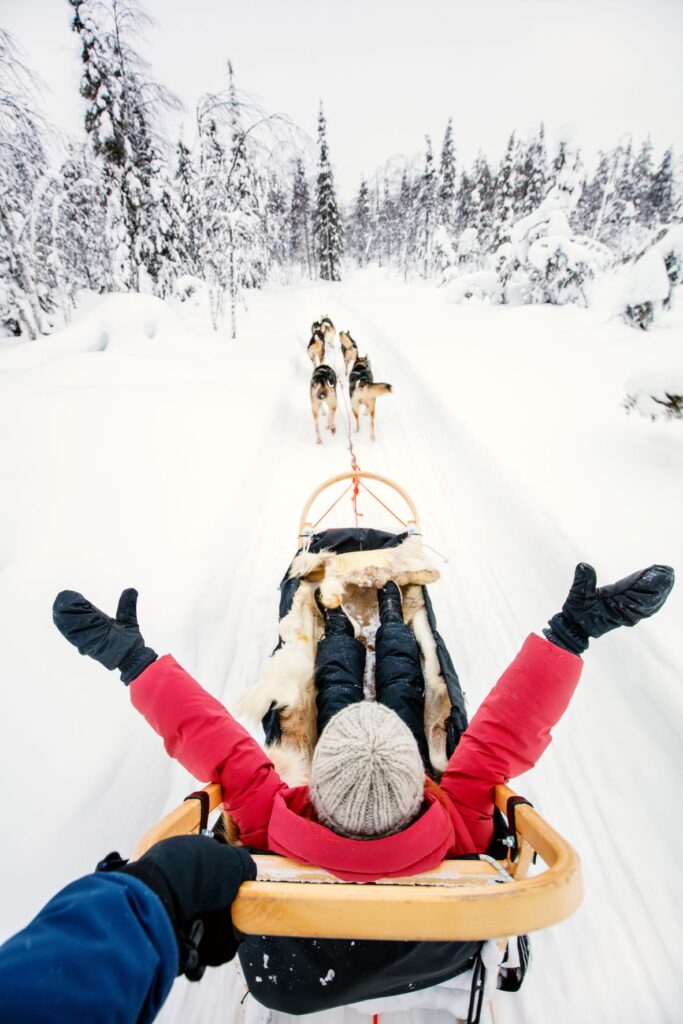 Finish Lapland husky sled