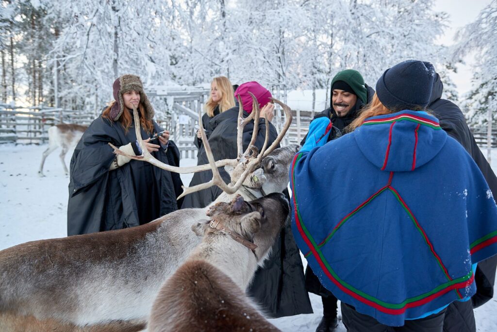 Sweden reindeer