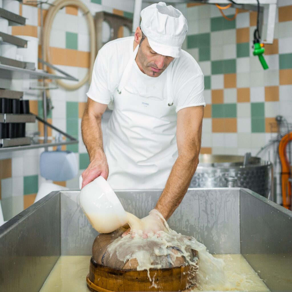 Artisanal Cheese Making Workshop Zurich