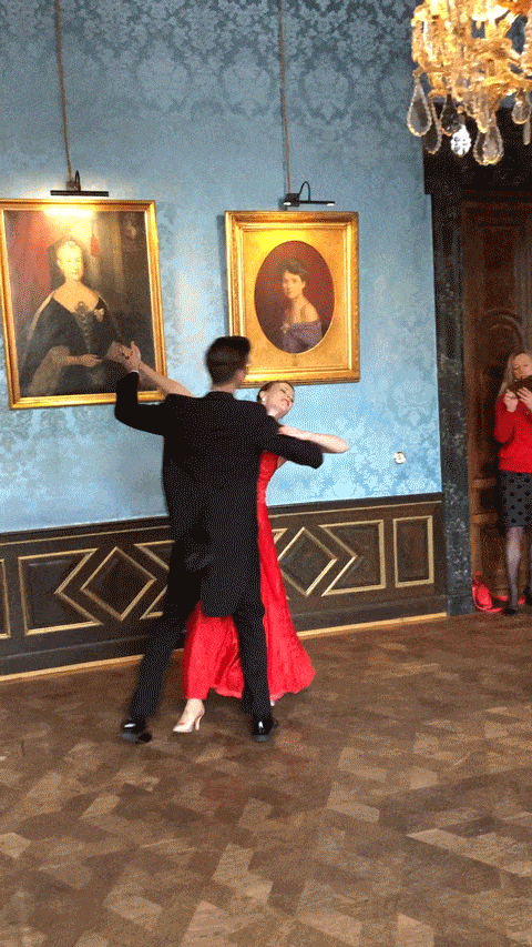 Dancing in Vienna