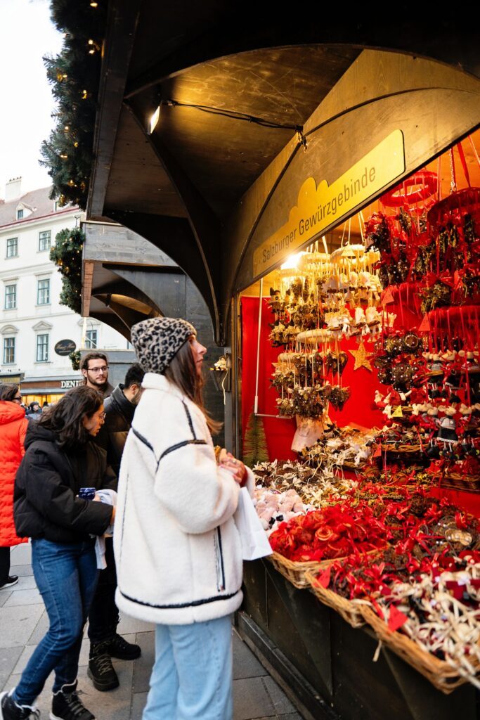 Vienna Christmas Market
