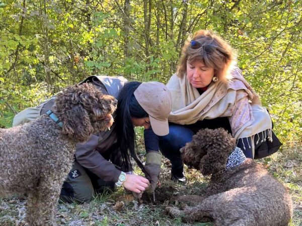 Truffle Hunting with dogs