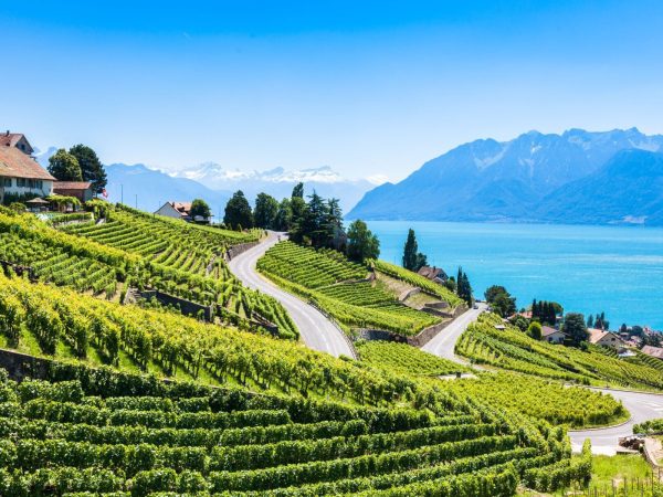 Lavaux region Lavaux region